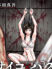 三比四竖版卡片比例的漫画图鉴参考图